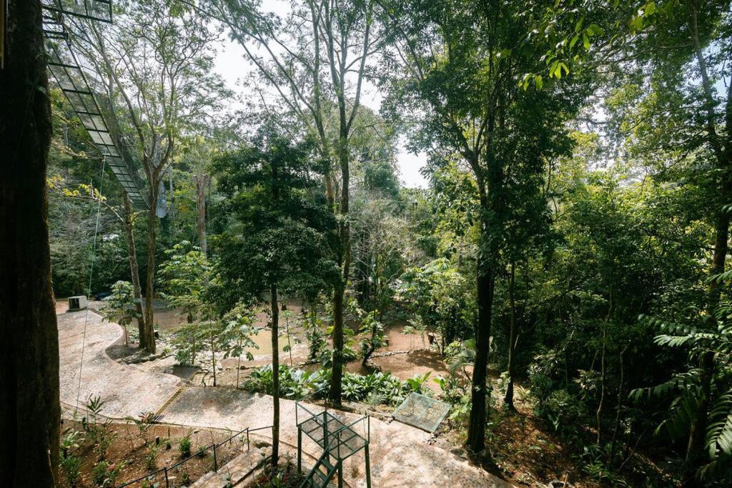 Mountain Top Park Hotel Quepos Buitenkant foto