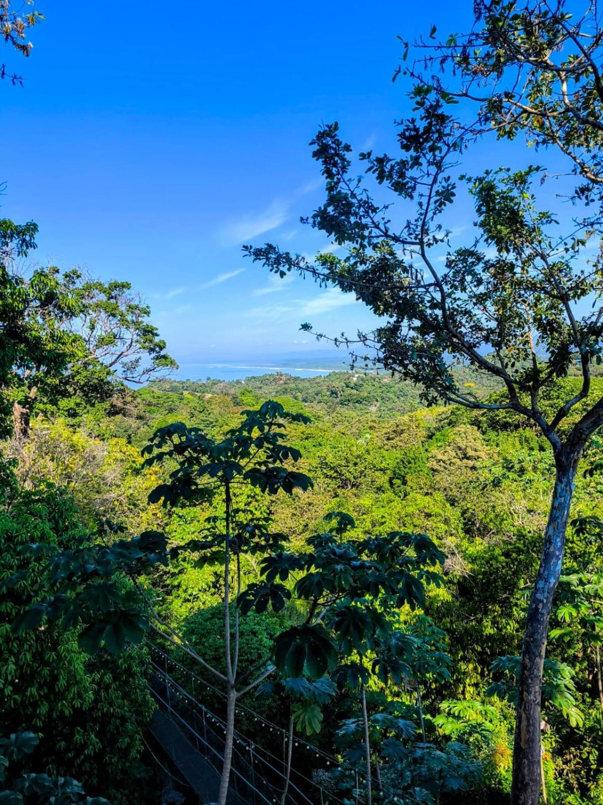 Mountain Top Park Hotel Quepos Buitenkant foto